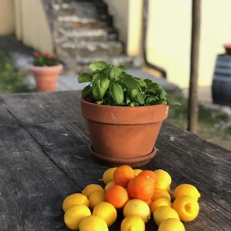 La Posta Reale Farm stay *