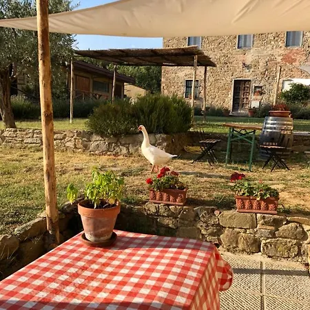 La Posta Reale Farm stay Castiglion Fibocchi