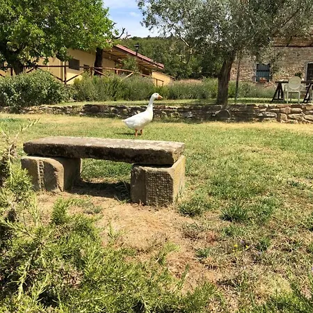 Séjour à la ferme La Posta Reale Castiglion Fibocchi