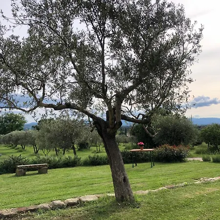 La Posta Reale * Castiglion Fibocchi