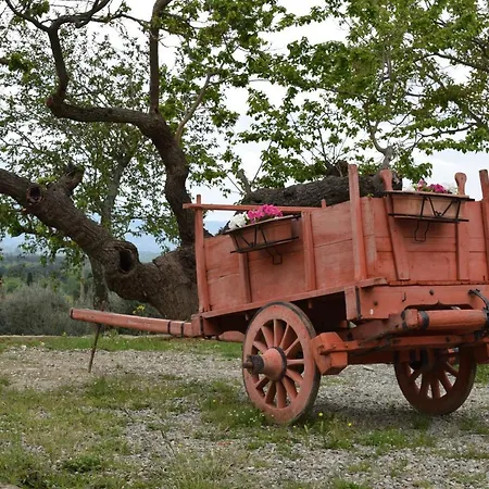 Farm stay La Posta Reale