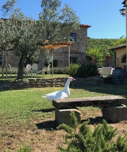 Farm stay La Posta Reale-wine Cellar Fattoria Bellosguardo Castiglion Fibocchi
