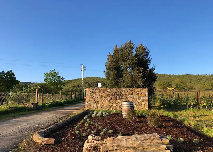 Farm stay La Posta Reale-wine Cellar Fattoria Bellosguardo Castiglion Fibocchi