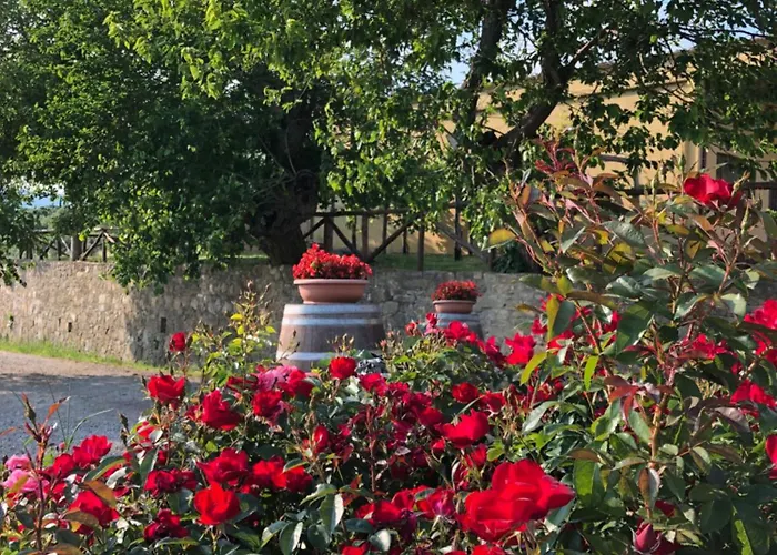 Farm stay La Posta Reale-wine Cellar Fattoria Bellosguardo